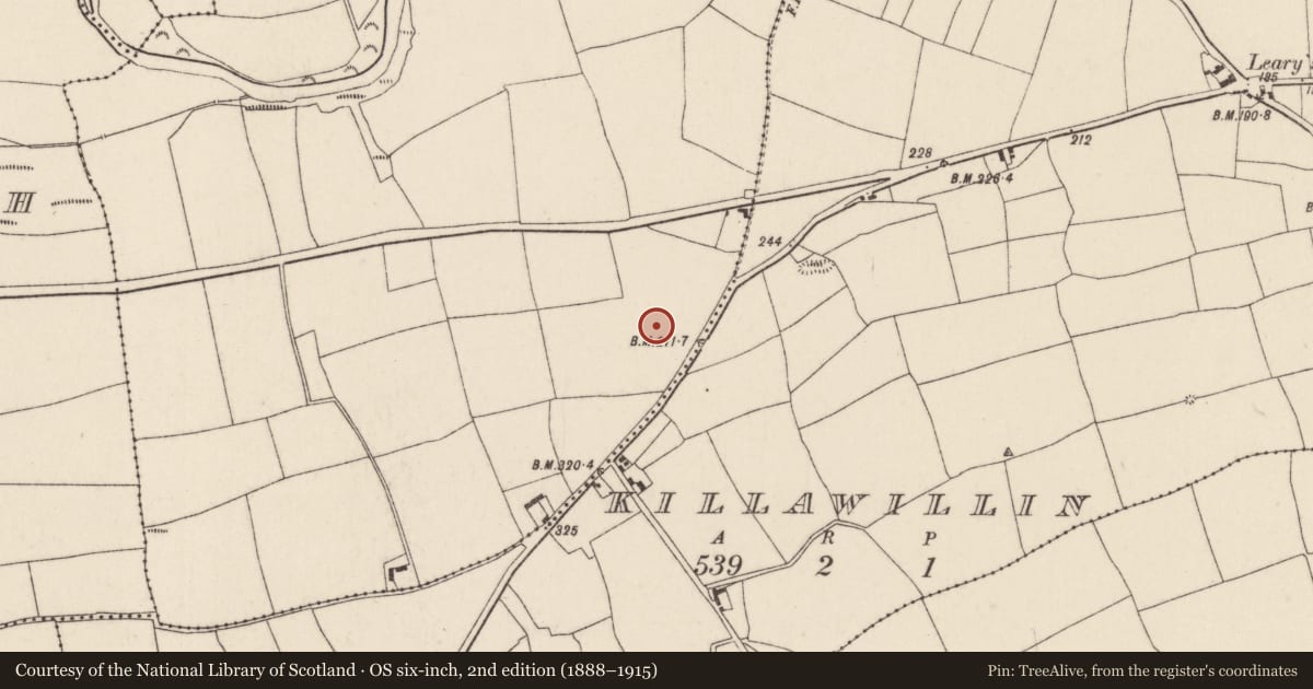Ordnance Survey six-inch map, 2nd edition (1888–1915) covering the location of Ringfort - rath, Deerpark, County Cork, with a pin at the register's coordinates