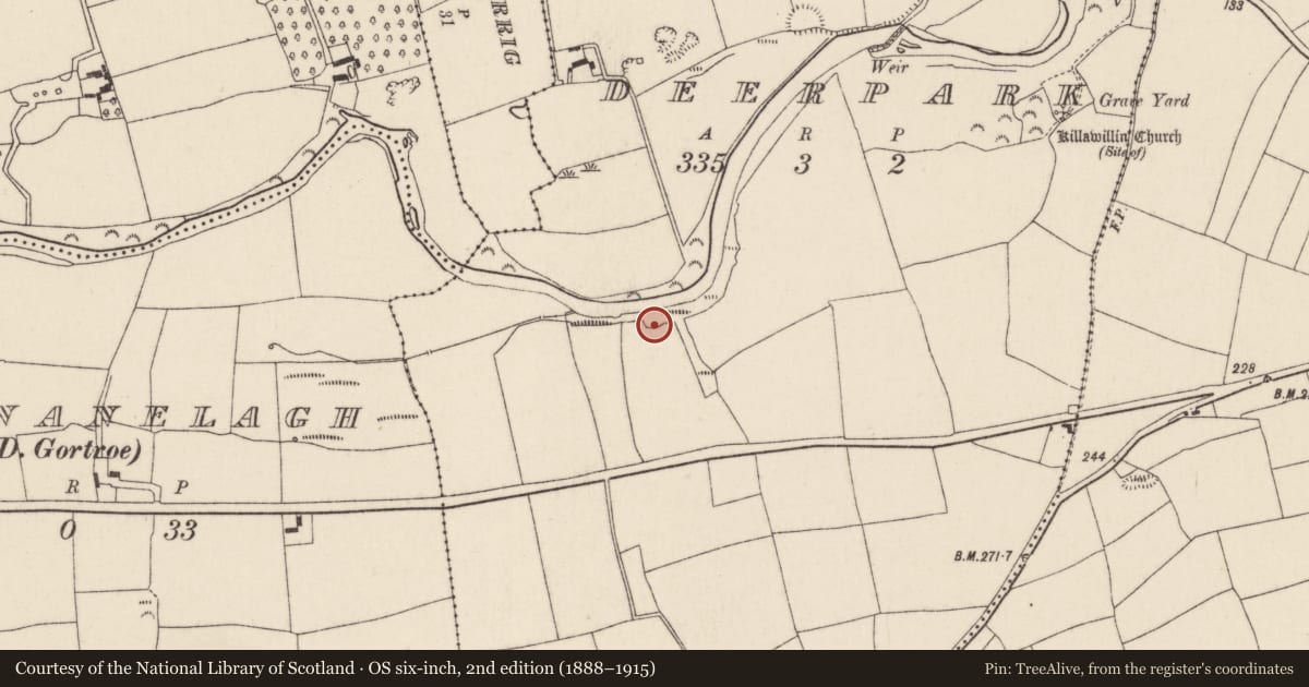 Ordnance Survey six-inch map, 2nd edition (1888–1915) covering the location of Cliff-edge fort, Deerpark, County Cork, with a pin at the register's coordinates