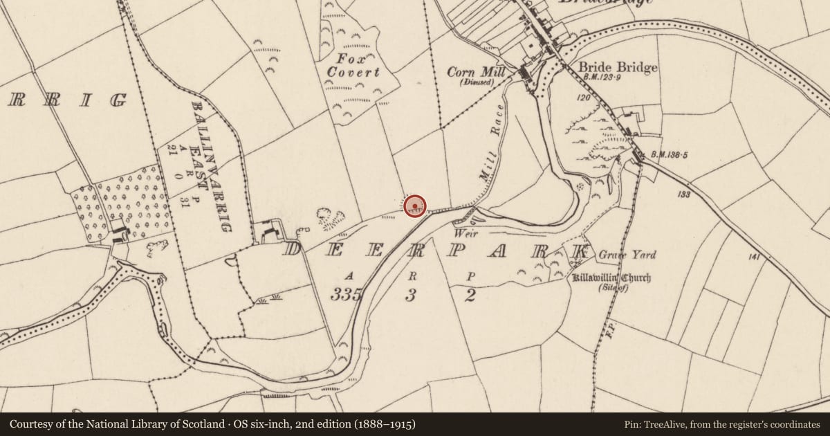 Ordnance Survey six-inch map, 2nd edition (1888–1915) covering the location of Cliff-edge fort, Deerpark, County Cork, with a pin at the register's coordinates