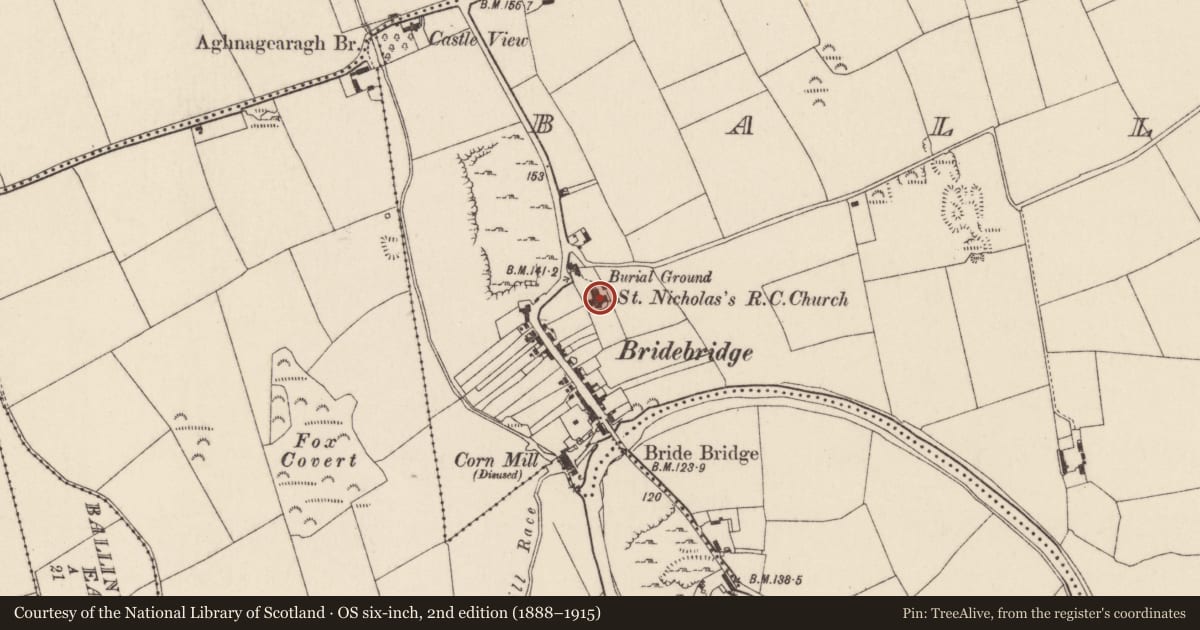 Ordnance Survey six-inch map, 2nd edition (1888–1915) covering the location of Headstone, Ballyarra, County Cork, with a pin at the register's coordinates