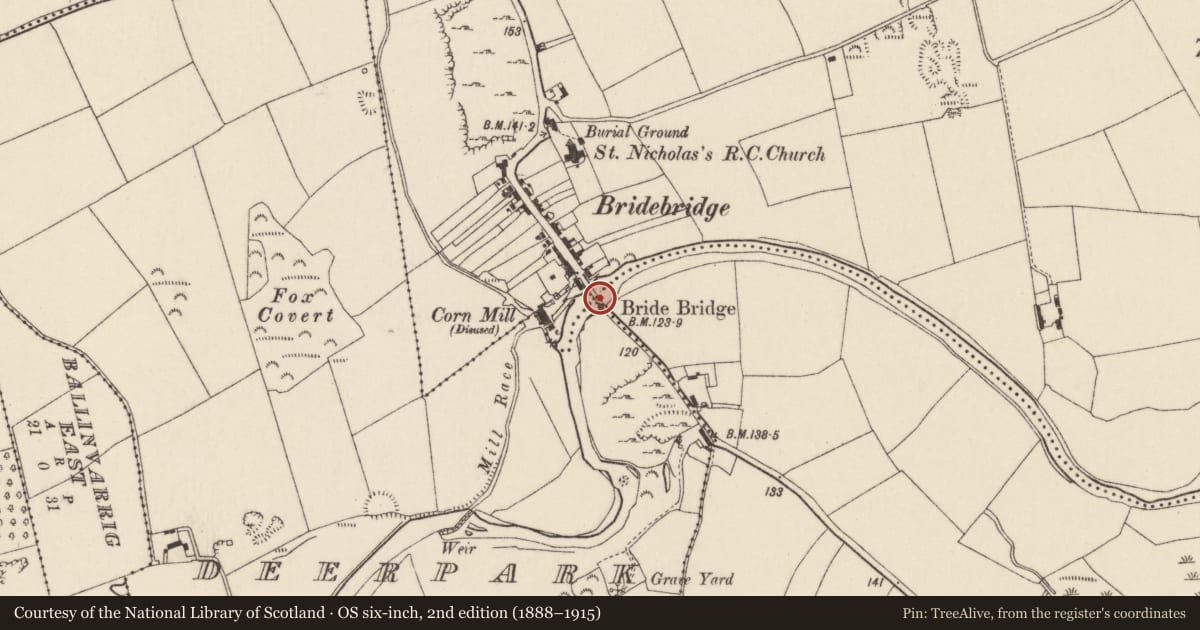 Ordnance Survey six-inch map, 2nd edition (1888–1915) covering the location of Bridge, Killawillin, County Cork, with a pin at the register's coordinates