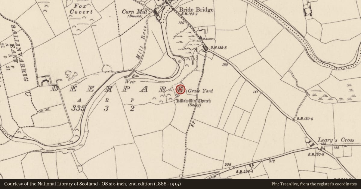 Ordnance Survey six-inch map, 2nd edition (1888–1915) covering the location of Graveyard, Deerpark, County Cork, with a pin at the register's coordinates
