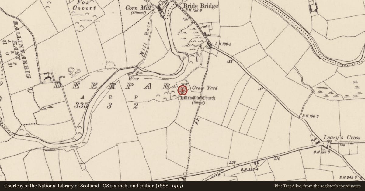 Ordnance Survey six-inch map, 2nd edition (1888–1915) covering the location of Church, Deerpark, County Cork, with a pin at the register's coordinates