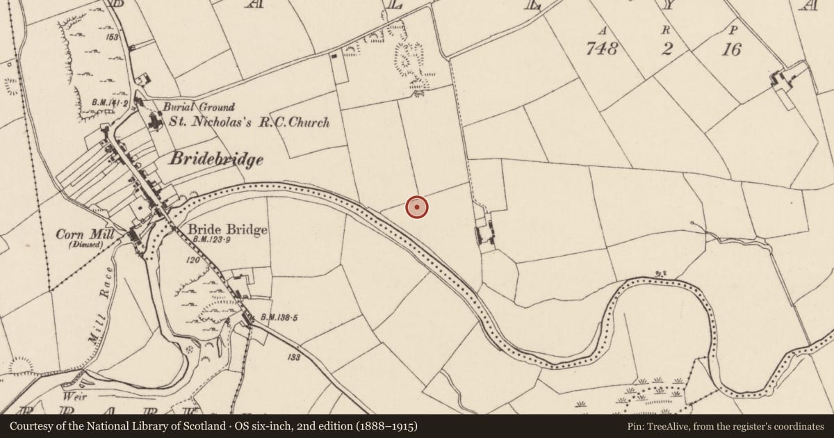 Ordnance Survey six-inch map, 2nd edition (1888–1915) covering the location of Souterrain, Ballyarra, County Cork, with a pin at the register's coordinates