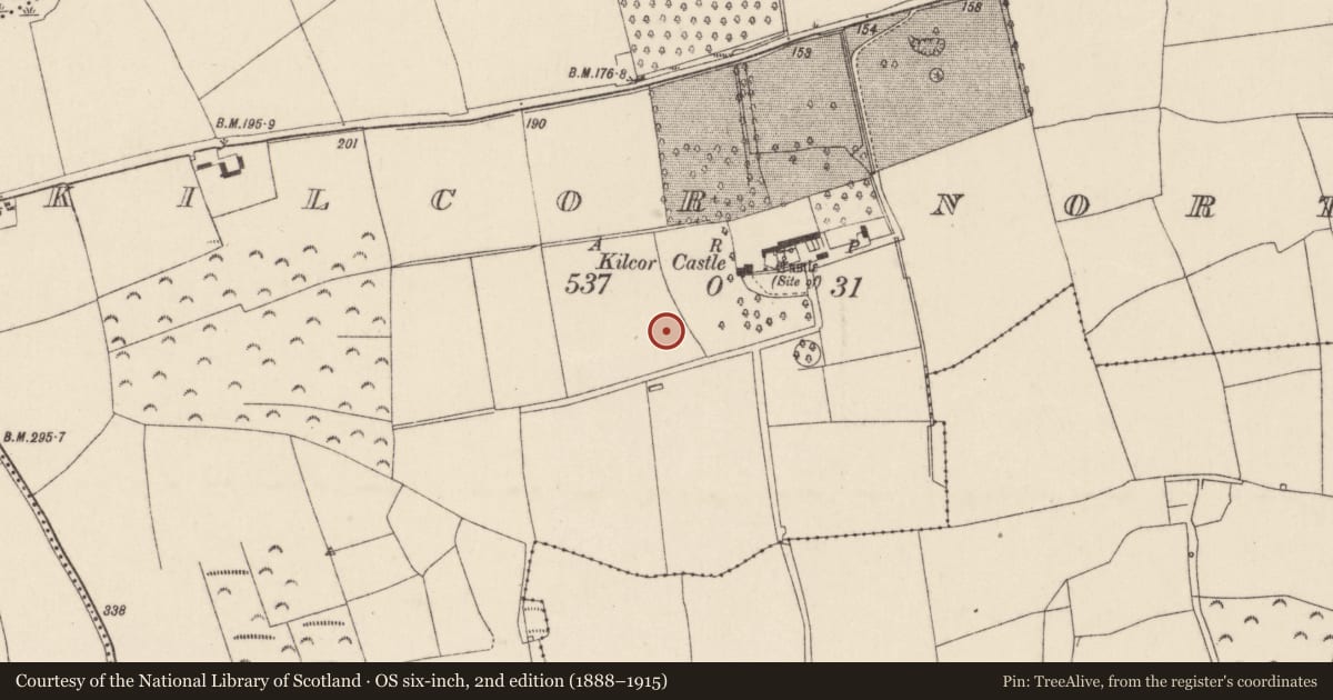 Ordnance Survey six-inch map, 2nd edition (1888–1915) covering the location of Fulacht fia, Kilcor North, County Cork, with a pin at the register's coordinates