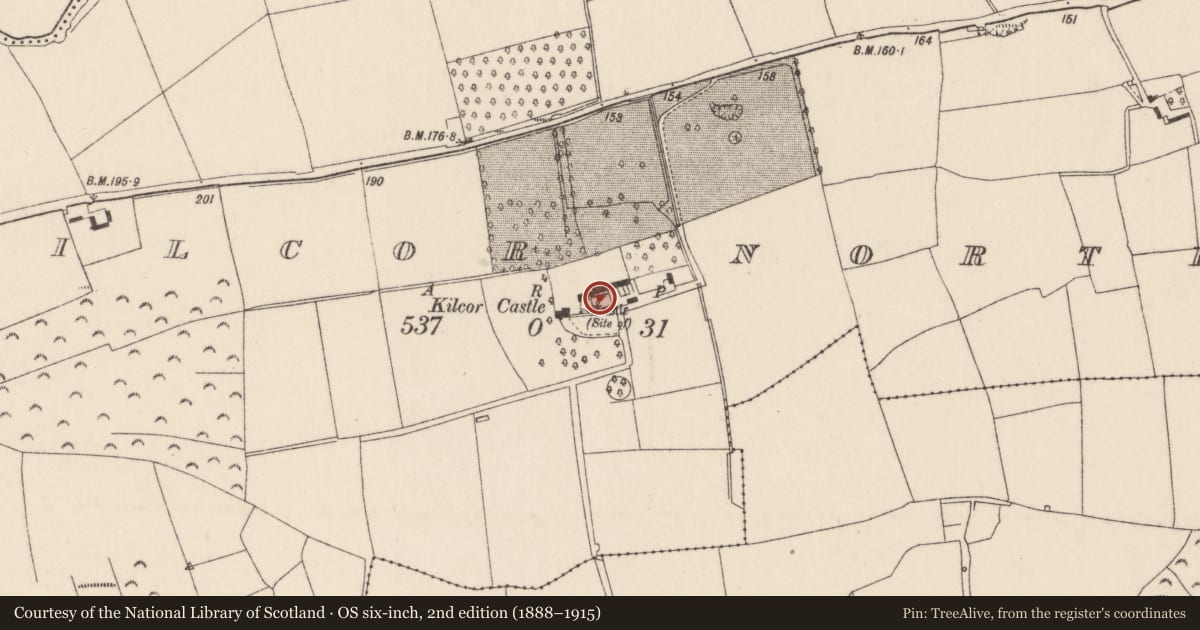 Ordnance Survey six-inch map, 2nd edition (1888–1915) covering the location of Castle - unclassified, Kilcor North, County Cork, with a pin at the register's coordinates