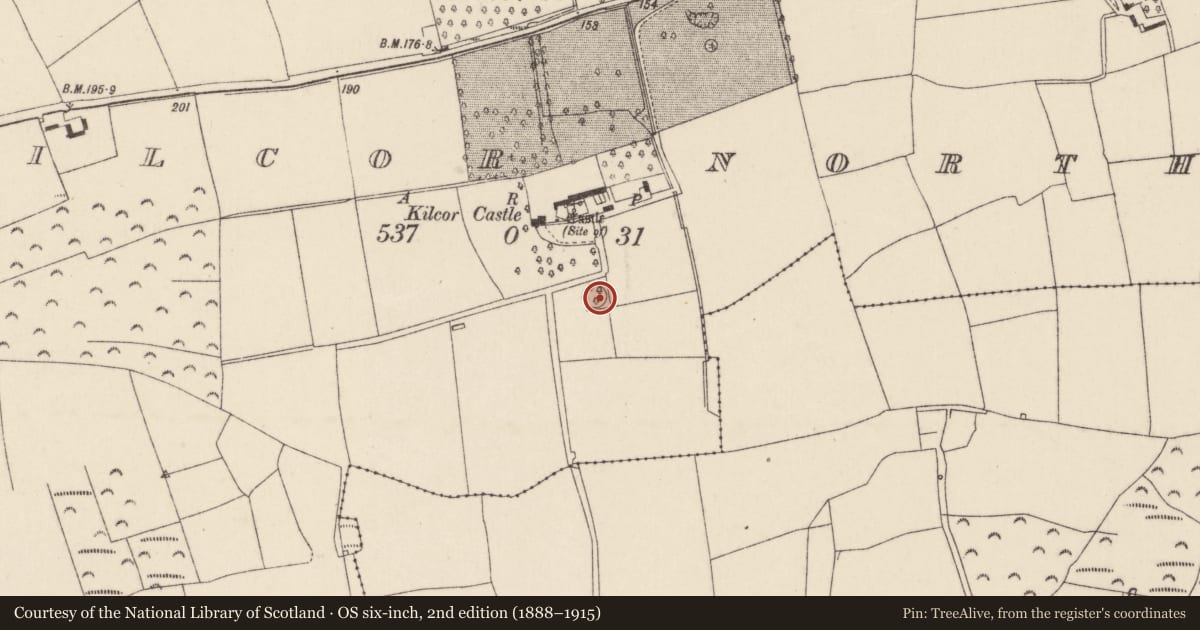 Ordnance Survey six-inch map, 2nd edition (1888–1915) covering the location of Enclosure, Kilcor North, County Cork, with a pin at the register's coordinates