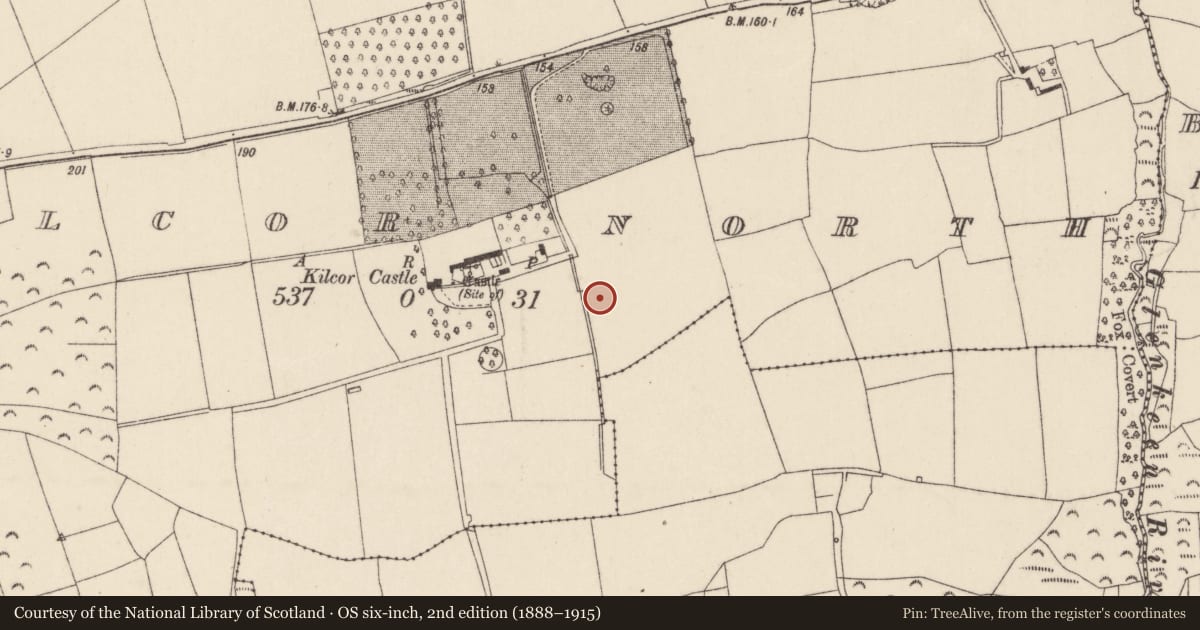 Ordnance Survey six-inch map, 2nd edition (1888–1915) covering the location of Fulacht fia, Kilcor North, County Cork, with a pin at the register's coordinates