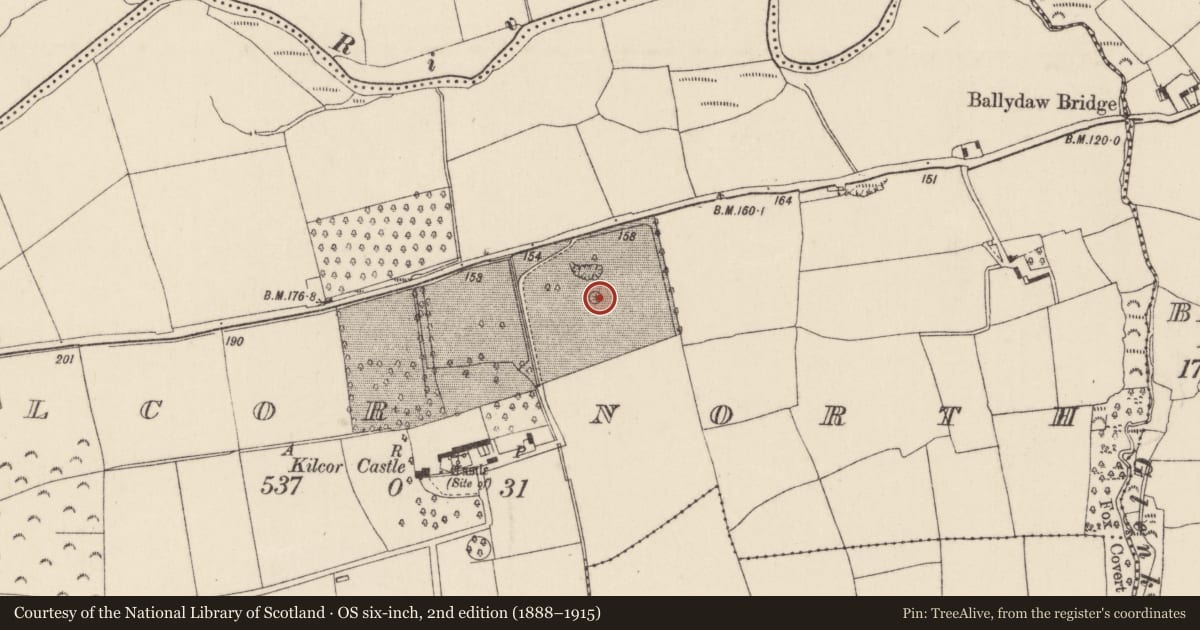 Ordnance Survey six-inch map, 2nd edition (1888–1915) covering the location of Enclosure, Kilcor North, County Cork, with a pin at the register's coordinates