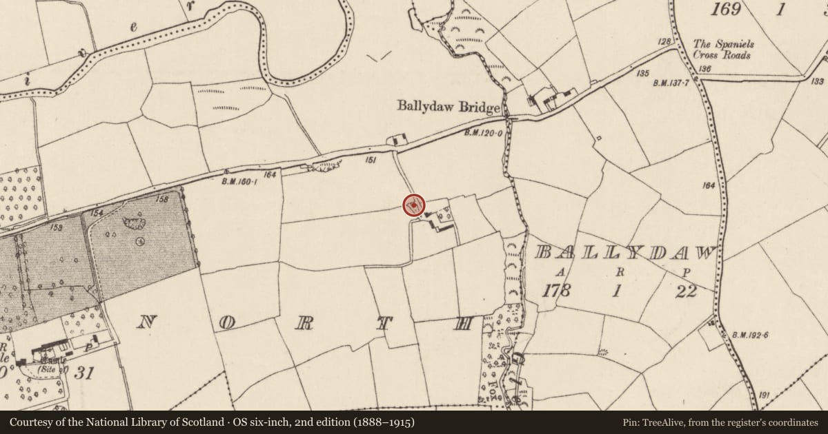 Ordnance Survey six-inch map, 2nd edition (1888–1915) covering the location of Kiln - lime, Kilcor North, County Cork, with a pin at the register's coordinates