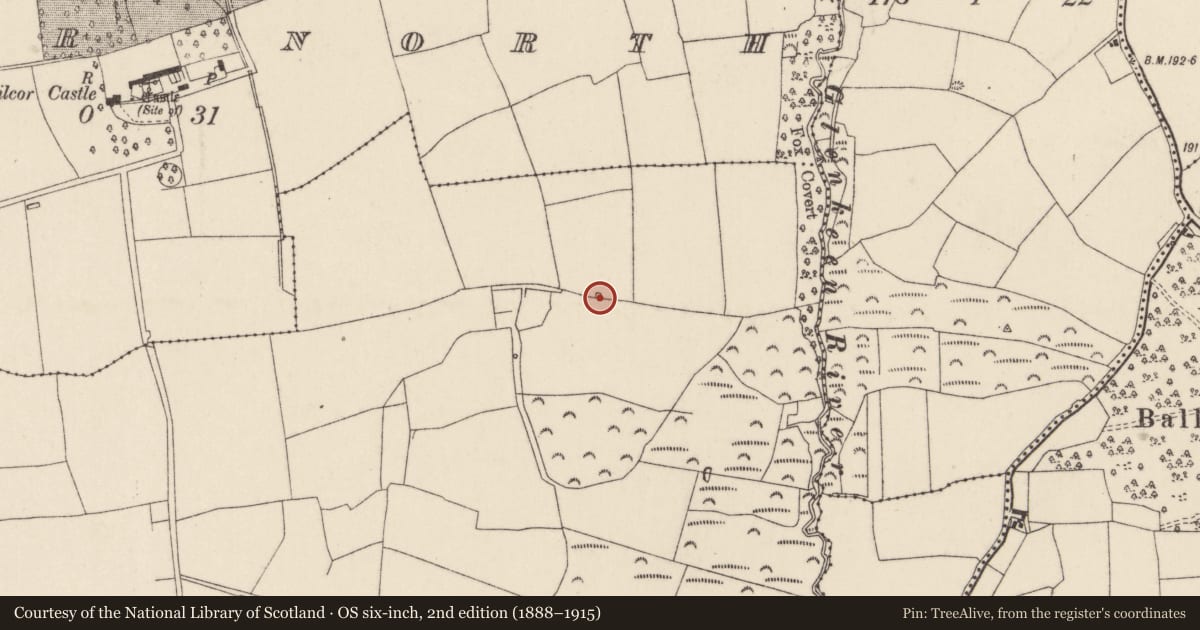 Ordnance Survey six-inch map, 2nd edition (1888–1915) covering the location of Kiln - lime, Kilcor South, County Cork, with a pin at the register's coordinates