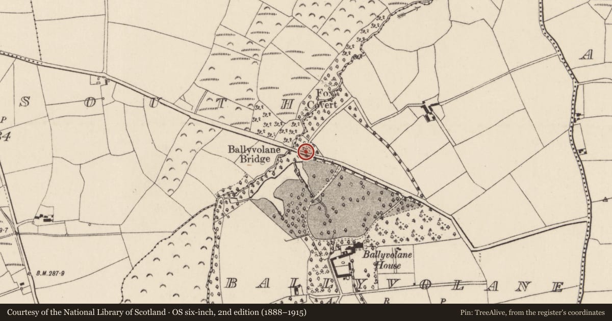 Ordnance Survey six-inch map, 2nd edition (1888–1915) covering the location of Kiln - lime, Ballyvolane, County Cork, with a pin at the register's coordinates