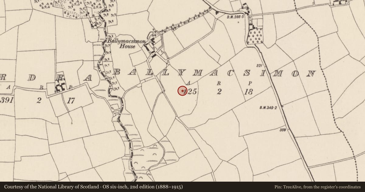 Ordnance Survey six-inch map, 2nd edition (1888–1915) covering the location of Fulacht fia, Ballymacsimon, County Cork, with a pin at the register's coordinates