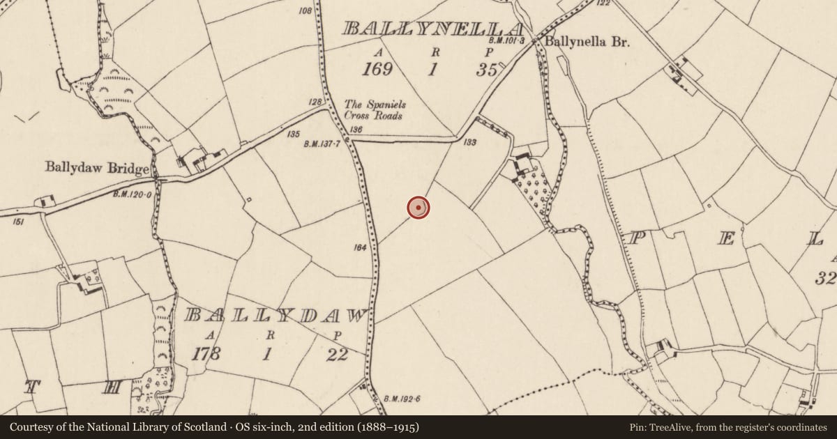 Ordnance Survey six-inch map, 2nd edition (1888–1915) covering the location of Enclosure, Ballynella, County Cork, with a pin at the register's coordinates
