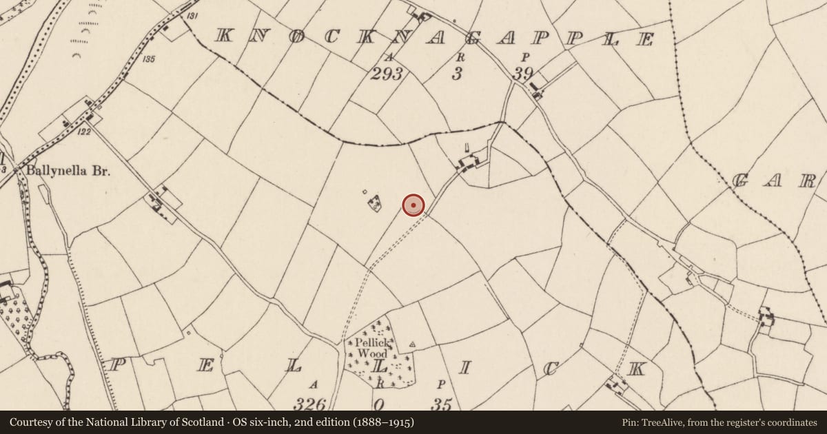 Ordnance Survey six-inch map, 2nd edition (1888–1915) covering the location of Ringfort - rath, Pellick, County Cork, with a pin at the register's coordinates