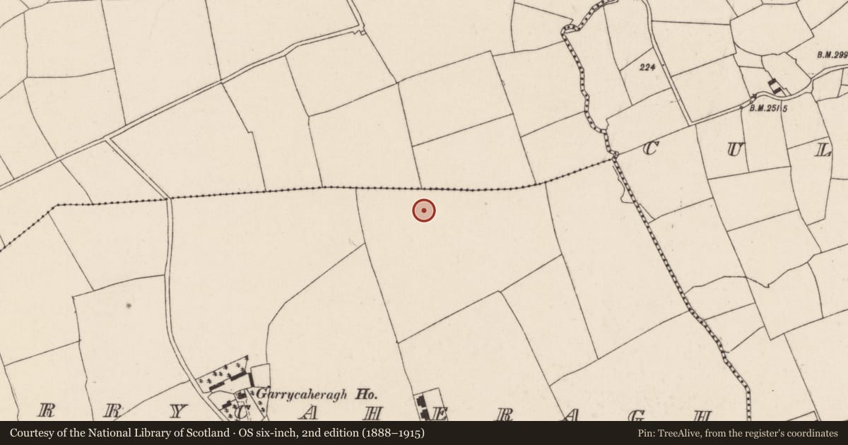 Ordnance Survey six-inch map, 2nd edition (1888–1915) covering the location of Ringfort - rath, Garrycaheragh, County Cork, with a pin at the register's coordinates