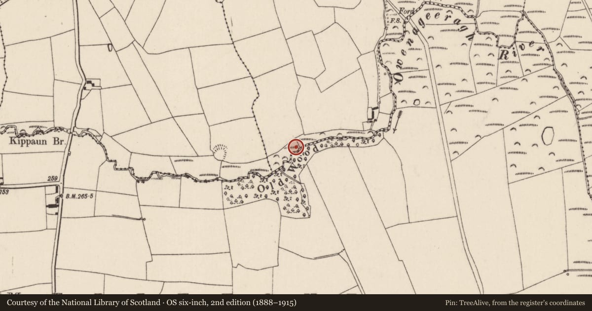 Ordnance Survey six-inch map, 2nd edition (1888–1915) covering the location of Fulacht fia, Killawillin, County Cork, with a pin at the register's coordinates