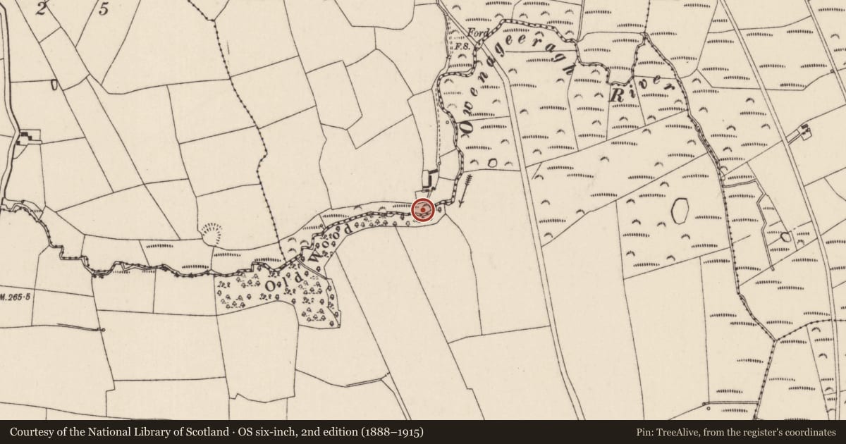 Ordnance Survey six-inch map, 2nd edition (1888–1915) covering the location of Fulacht fia, Killawillin, County Cork, with a pin at the register's coordinates