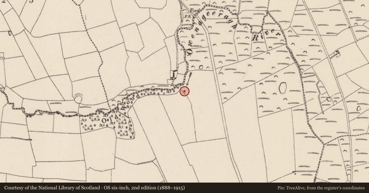 Ordnance Survey six-inch map, 2nd edition (1888–1915) covering the location of Fulacht fia, Mellefontstown, County Cork, with a pin at the register's coordinates