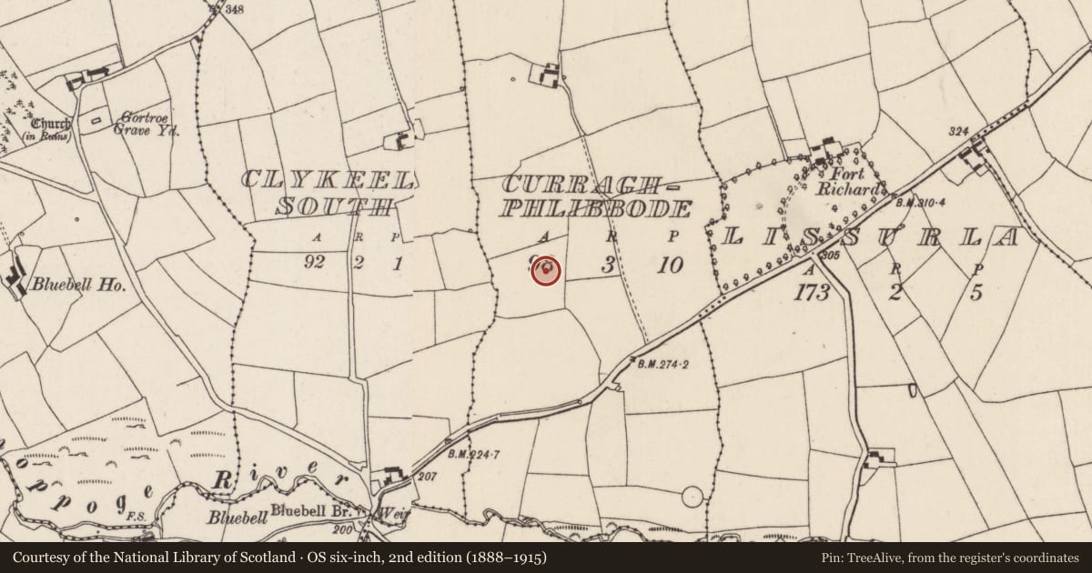 Ordnance Survey six-inch map, 2nd edition (1888–1915) covering the location of Fulacht fia, Curraghphlibbode, County Cork, with a pin at the register's coordinates
