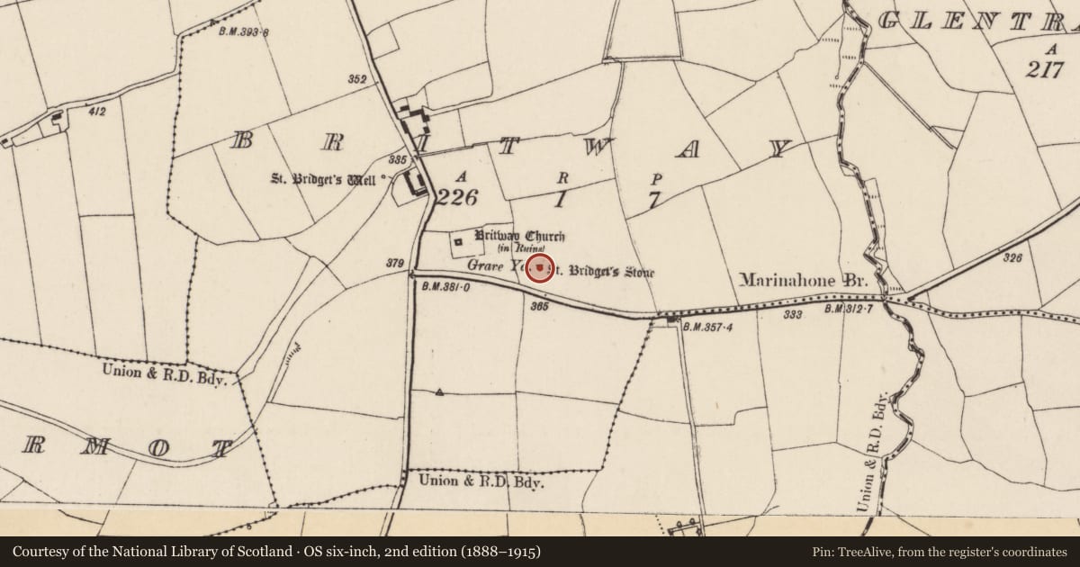 Ordnance Survey six-inch map, 2nd edition (1888–1915) covering the location of Megalithic structure, Britway, County Cork, with a pin at the register's coordinates