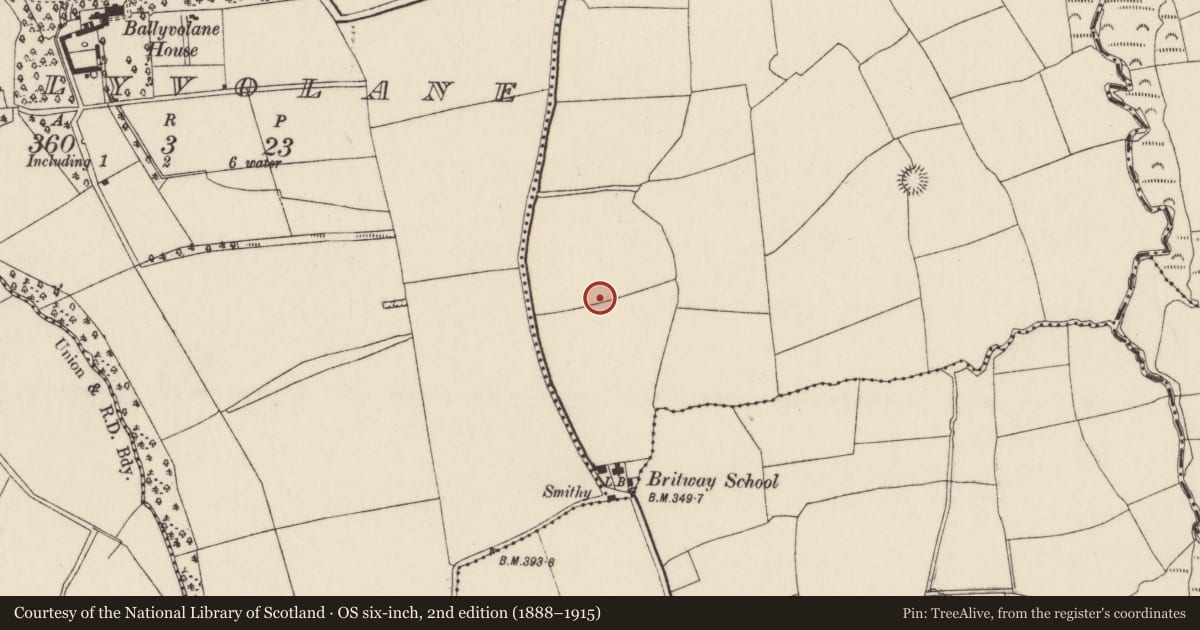 Ordnance Survey six-inch map, 2nd edition (1888–1915) covering the location of Standing stone, Ardra, County Cork, with a pin at the register's coordinates