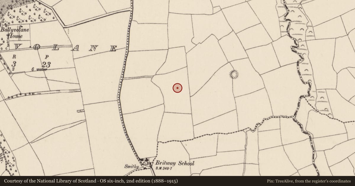 Ordnance Survey six-inch map, 2nd edition (1888–1915) covering the location of Ringfort - rath, Ardra, County Cork, with a pin at the register's coordinates