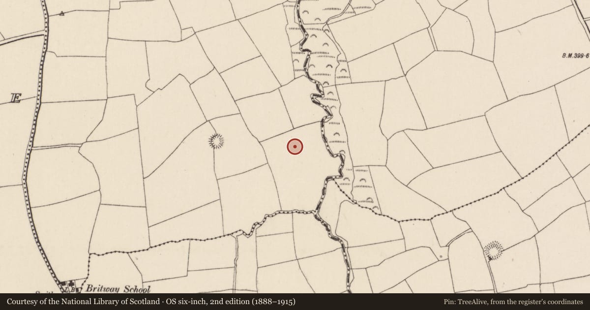 Ordnance Survey six-inch map, 2nd edition (1888–1915) covering the location of Ringfort - rath, Ardra, County Cork, with a pin at the register's coordinates