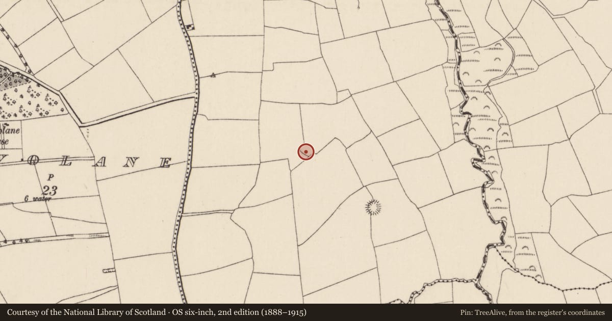 Ordnance Survey six-inch map, 2nd edition (1888–1915) covering the location of Ringfort - rath, Ardra, County Cork, with a pin at the register's coordinates
