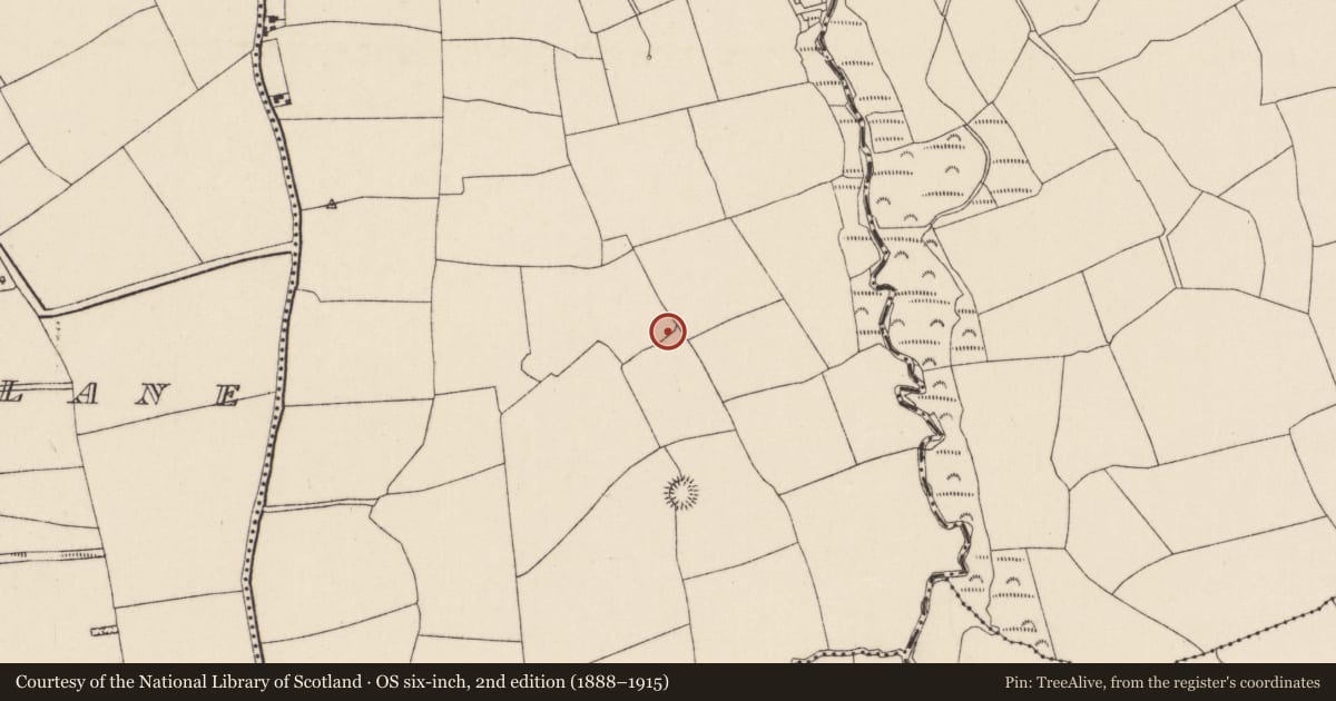 Ordnance Survey six-inch map, 2nd edition (1888–1915) covering the location of Standing stone, Ardra, County Cork, with a pin at the register's coordinates