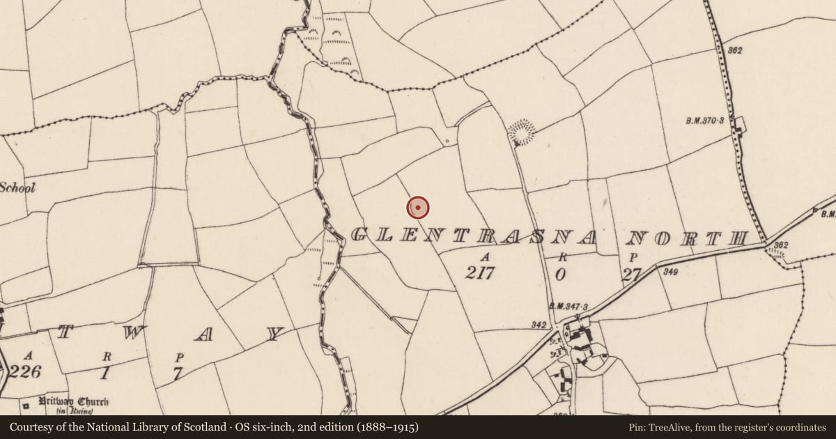 Ordnance Survey six-inch map, 2nd edition (1888–1915) covering the location of Ringfort - rath, Glentrasna North, County Cork, with a pin at the register's coordinates