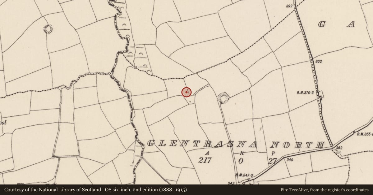 Ordnance Survey six-inch map, 2nd edition (1888–1915) covering the location of Fulacht fia, Glentrasna North, County Cork, with a pin at the register's coordinates