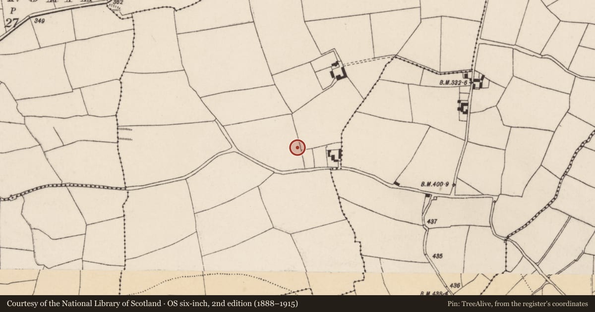 Ordnance Survey six-inch map, 2nd edition (1888–1915) covering the location of Ringfort - rath, Rathdrum, County Cork, with a pin at the register's coordinates
