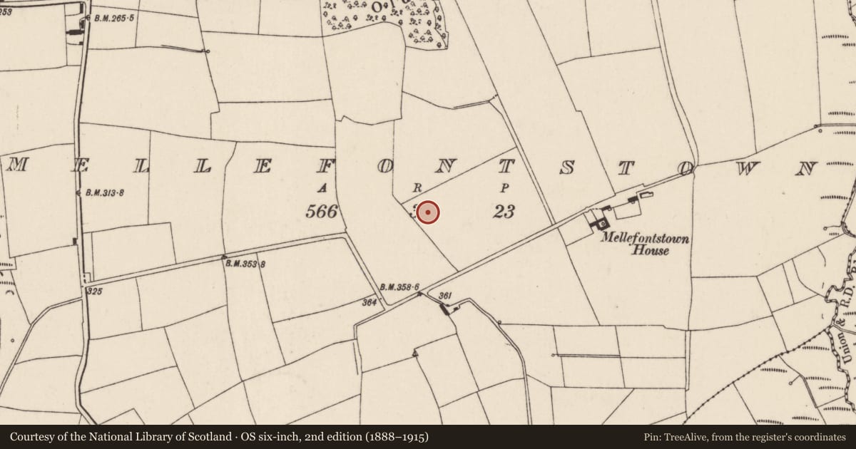 Ordnance Survey six-inch map, 2nd edition (1888–1915) covering the location of Fulacht fia, Mellefontstown, County Cork, with a pin at the register's coordinates