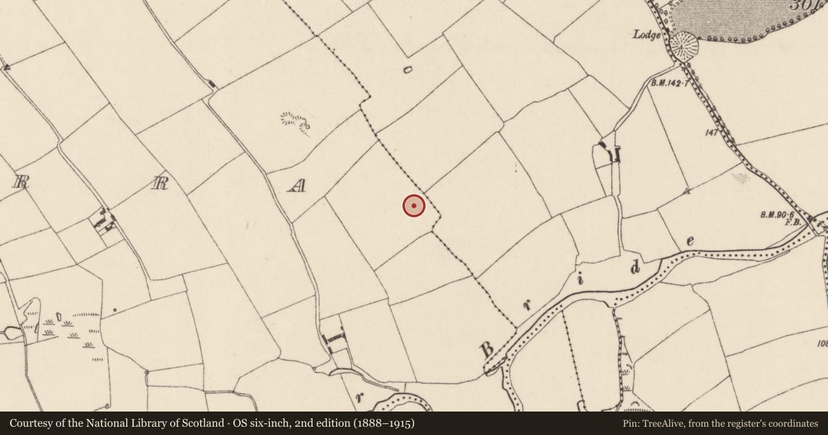 Ordnance Survey six-inch map, 2nd edition (1888–1915) covering the location of Fulacht fia, Ballyarra, County Cork, with a pin at the register's coordinates