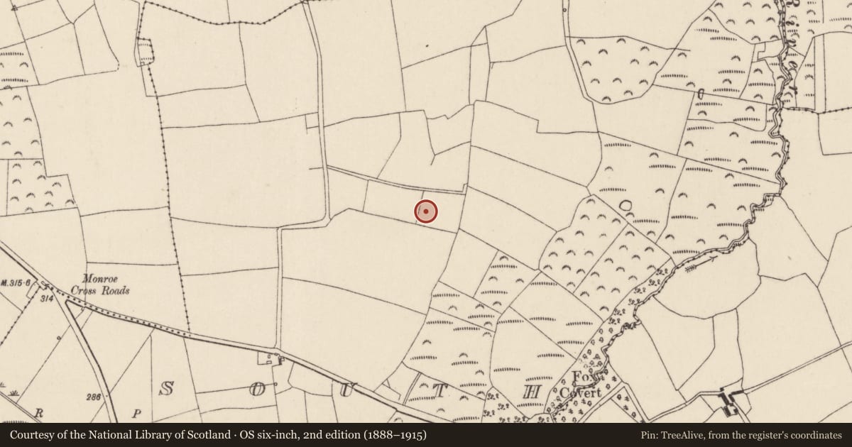 Ordnance Survey six-inch map, 2nd edition (1888–1915) covering the location of Fulacht fia, Kilcor South, County Cork, with a pin at the register's coordinates