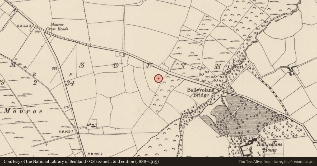 Ordnance Survey six-inch map, 2nd edition (1888–1915) covering the location of Fulacht fia, Kilcor South, County Cork, with a pin at the register's coordinates