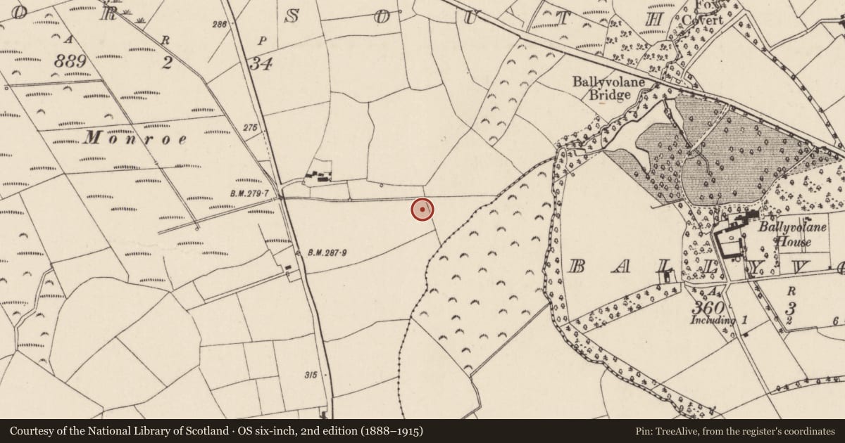 Ordnance Survey six-inch map, 2nd edition (1888–1915) covering the location of Fulacht fia, Kilcor South, County Cork, with a pin at the register's coordinates