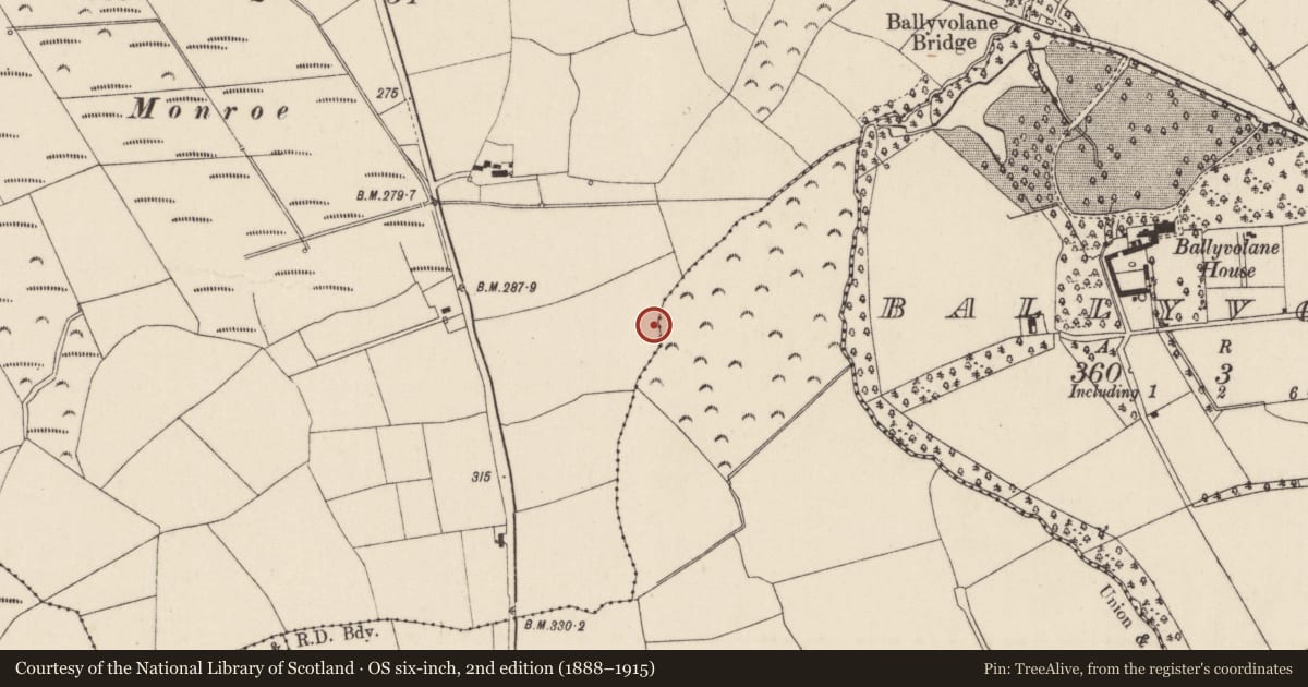 Ordnance Survey six-inch map, 2nd edition (1888–1915) covering the location of Fulacht fia, Kilcor South, County Cork, with a pin at the register's coordinates