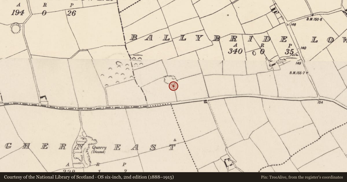 Ordnance Survey six-inch map, 2nd edition (1888–1915) covering the location of Kiln - lime, Ballybride Lower, County Cork, with a pin at the register's coordinates