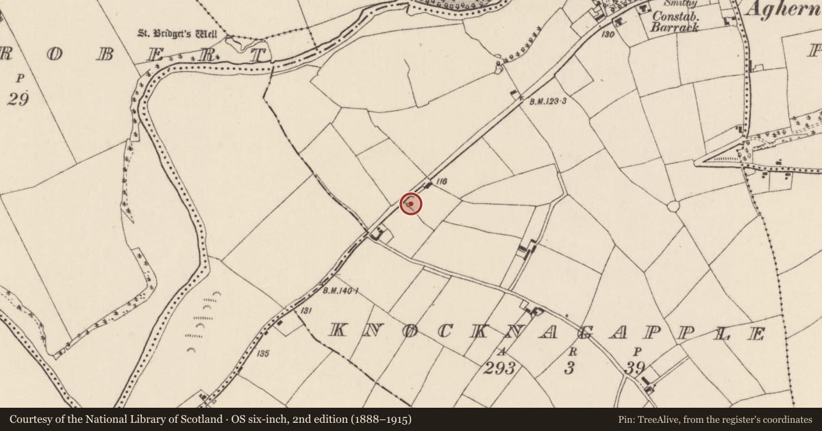 Ordnance Survey six-inch map, 2nd edition (1888–1915) covering the location of Kiln - lime, Knocknagapple, County Cork, with a pin at the register's coordinates