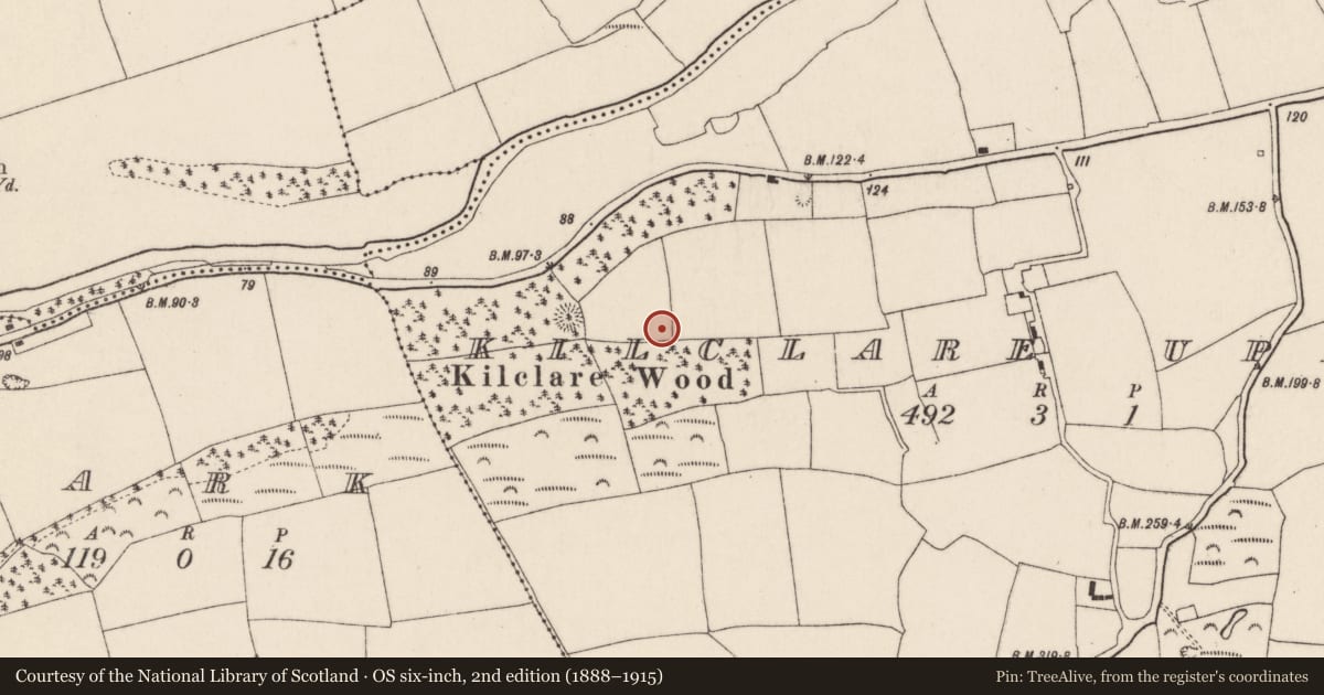 Ordnance Survey six-inch map, 2nd edition (1888–1915) covering the location of Ringfort - rath, Kilclare Upper, County Cork, with a pin at the register's coordinates