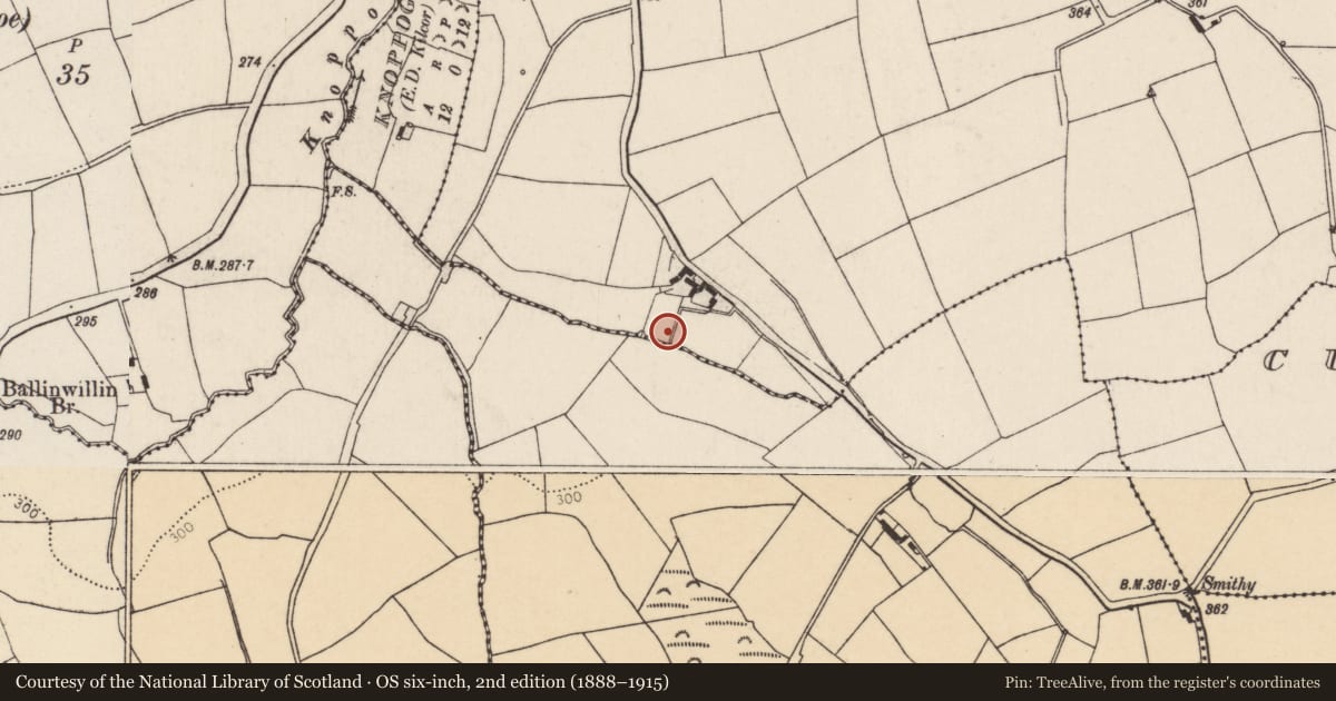 Ordnance Survey six-inch map, 2nd edition (1888–1915) covering the location of Fulacht fia, Mellefontstown, County Cork, with a pin at the register's coordinates