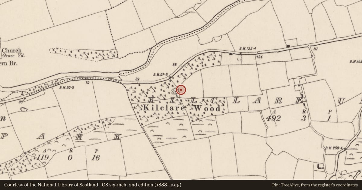 Ordnance Survey six-inch map, 2nd edition (1888–1915) covering the location of Fulacht fia, Kilclare Upper, County Cork, with a pin at the register's coordinates