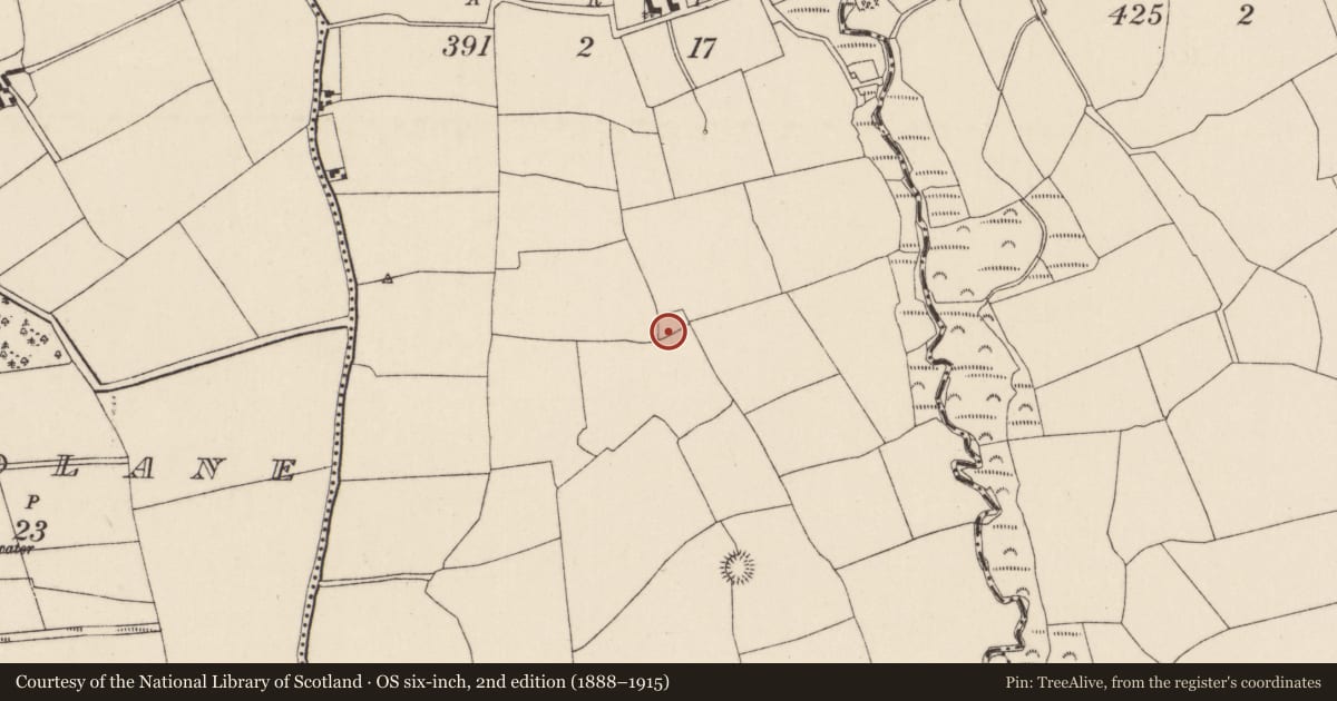 Ordnance Survey six-inch map, 2nd edition (1888–1915) covering the location of Fulacht fia, Ardra, County Cork, with a pin at the register's coordinates