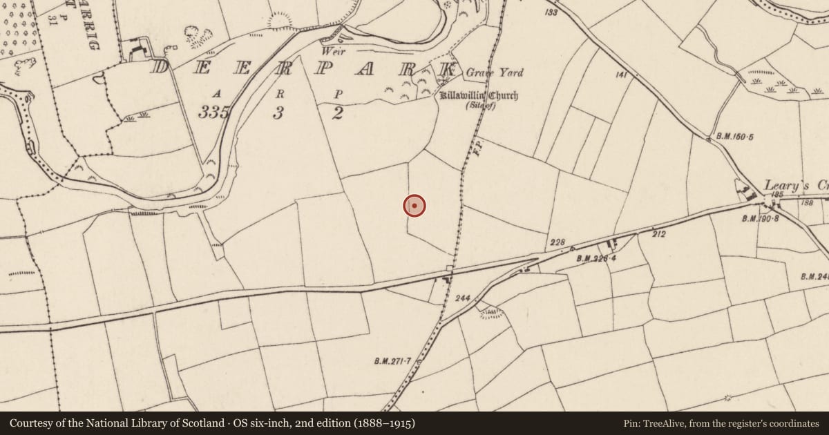 Ordnance Survey six-inch map, 2nd edition (1888–1915) covering the location of Fulacht fia, Deerpark, County Cork, with a pin at the register's coordinates