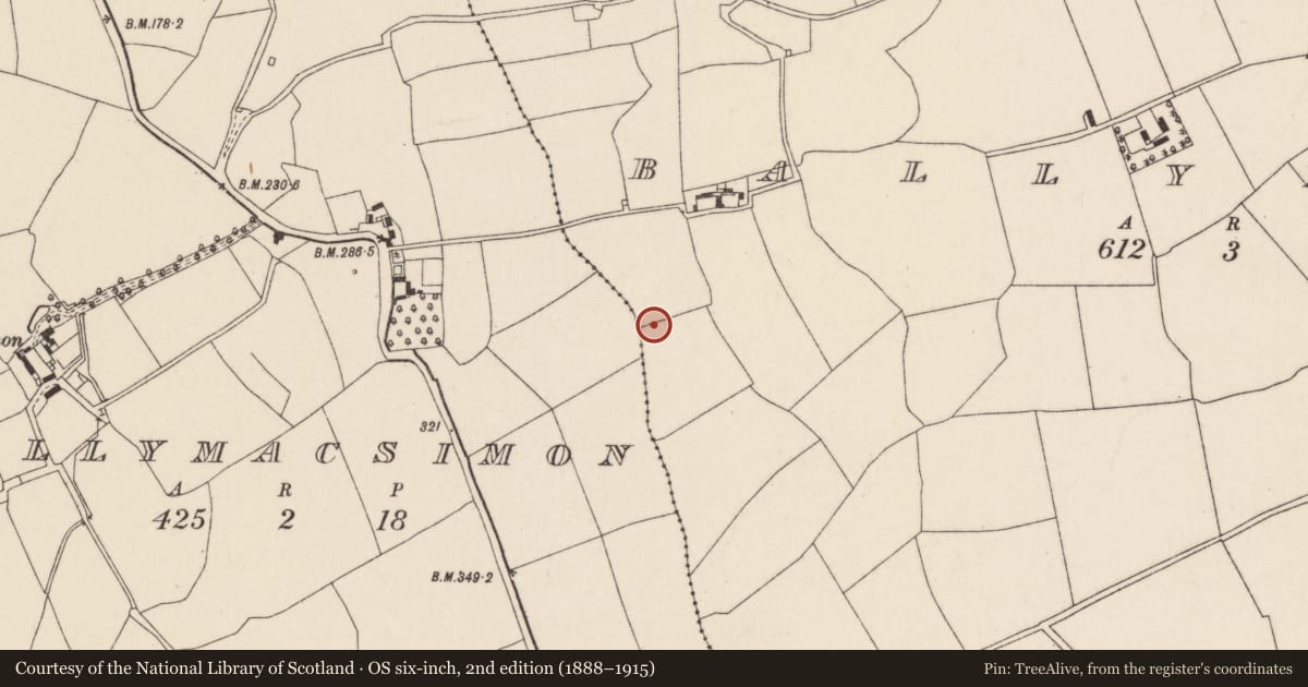 Ordnance Survey six-inch map, 2nd edition (1888–1915) covering the location of Ringfort - rath, Ballylusky, County Cork, with a pin at the register's coordinates