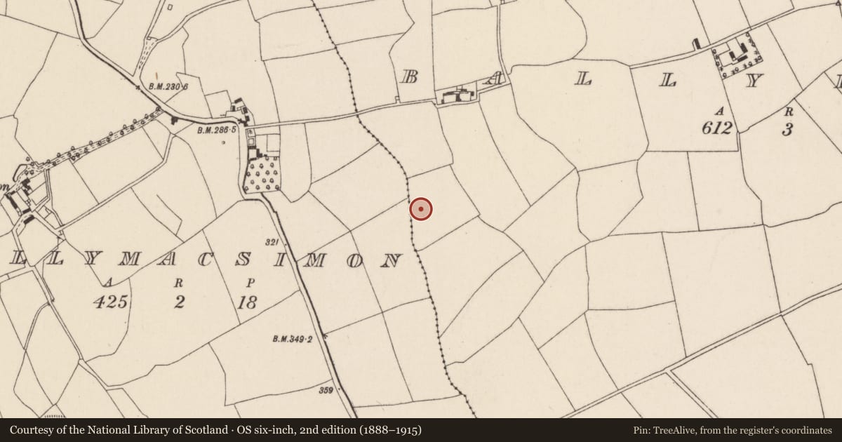 Ordnance Survey six-inch map, 2nd edition (1888–1915) covering the location of Ringfort - rath, Ballylusky, County Cork, with a pin at the register's coordinates