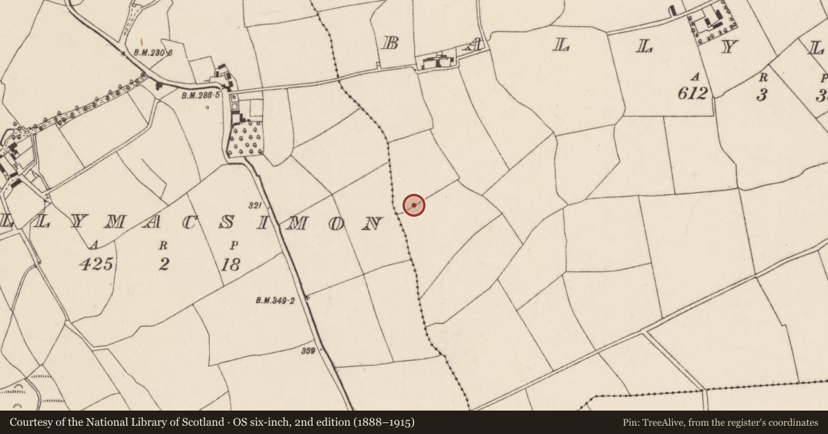 Ordnance Survey six-inch map, 2nd edition (1888–1915) covering the location of Ringfort - rath, Ballylusky, County Cork, with a pin at the register's coordinates