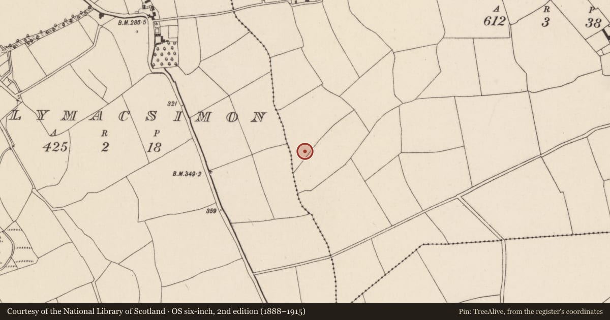 Ordnance Survey six-inch map, 2nd edition (1888–1915) covering the location of Ringfort - rath, Ballylusky, County Cork, with a pin at the register's coordinates